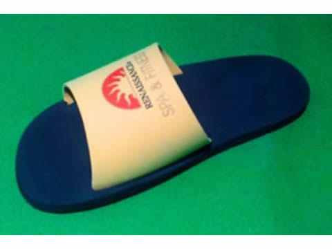 DESCART�VEIS - CHINELO TIPO RIDER PALMILHA LISA